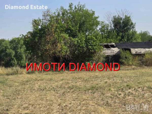 Парцел в село добрич, общ. димитровград