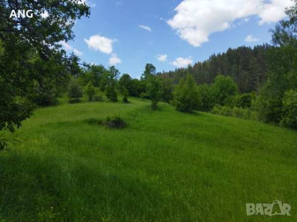 Продава парцел в с.полковник серафимово