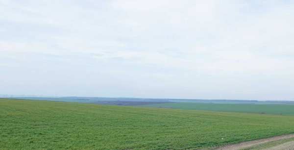 Продавам земеделска земя 3та/кат в близост до главен път Шумен-Разград