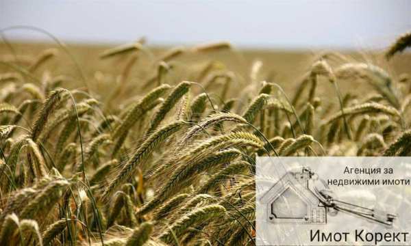 Имот Корект продава Зем.земя 2416м2, кв. Горно Воден