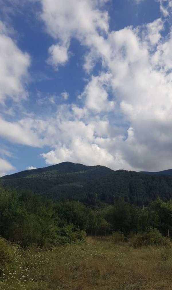 Парцел ТОП ЛОКАЦИЯ с ток и вода в регулация