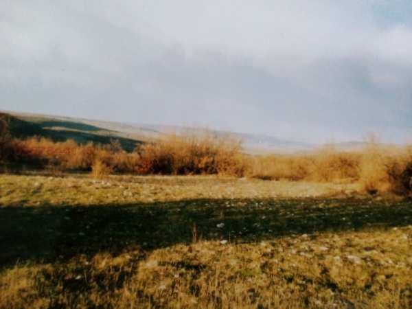 Продава парцел, с. кичево, област варна