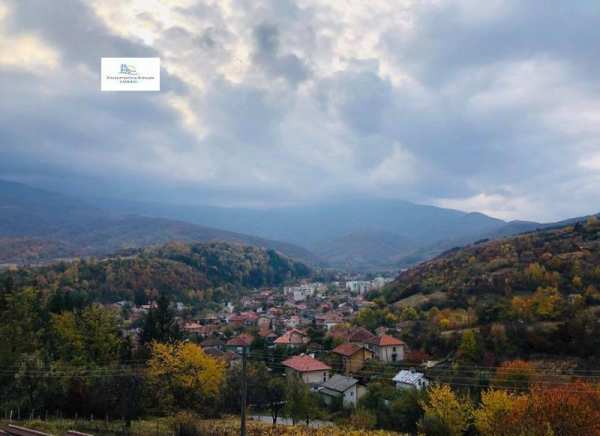 Продава  парцел гр. Берковица, област Монтана
      2000 кв.м