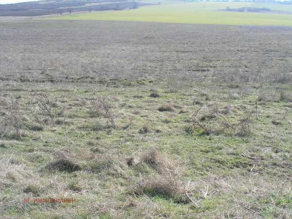 Продава земеделска земя, с. аврен, област варна