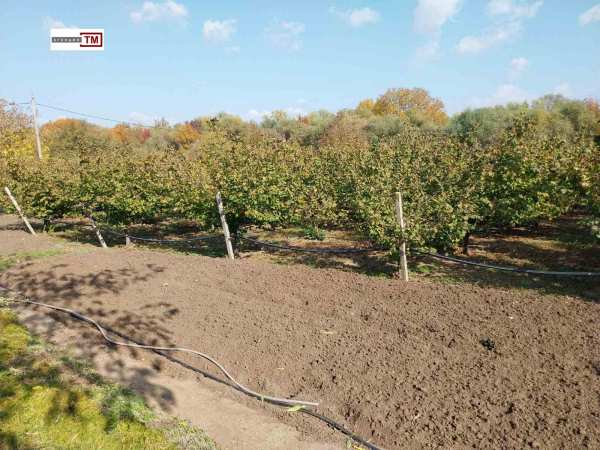 Продава парцел, с. българене, област стара загора
