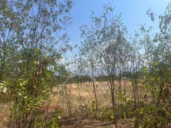 Продава парцел, с. златитрап, област пловдив