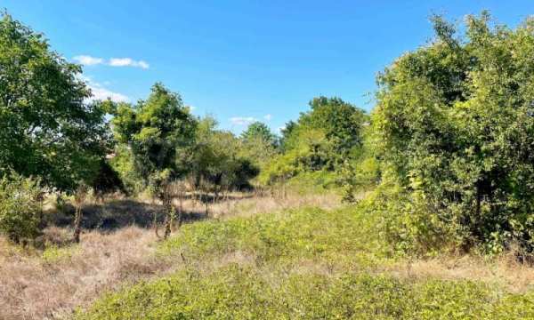 Продава парцел, с. зорница, област варна