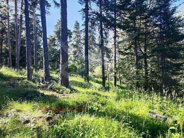 Продава парцел, с. добралък, област пловдив