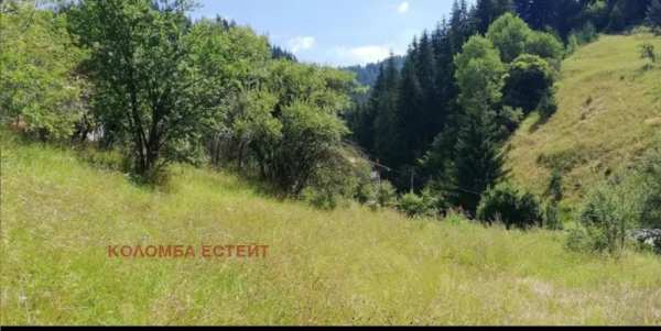 Продава парцел, гр. чепеларе, област смолян
