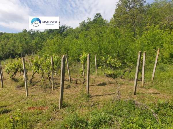 Продава парцел, гр. дряново, област габрово
