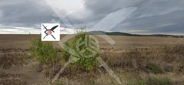 Продава  земеделска земя с. Росен, област Бургас
      14 дка