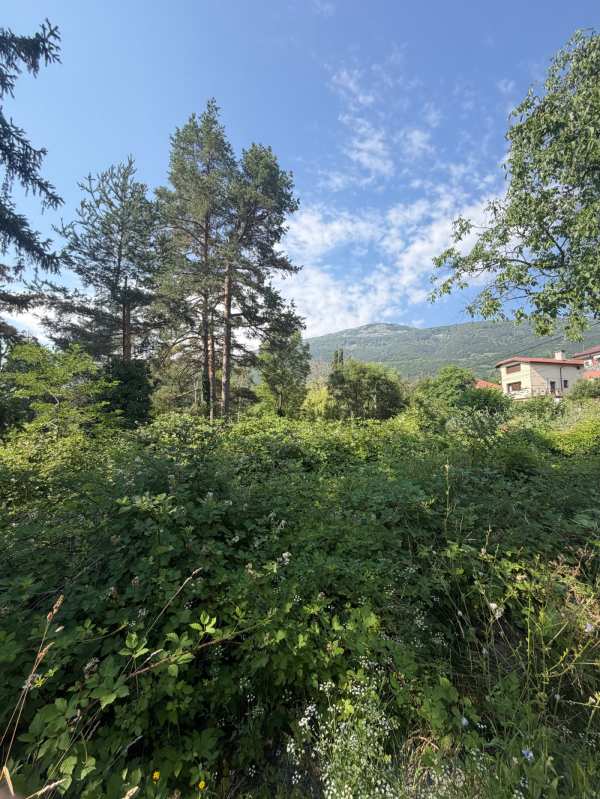 Продава парцел, гр. софия, бояна