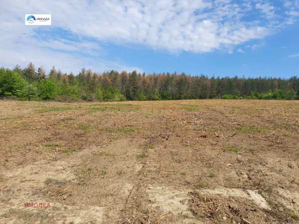 Продава парцел, с. малки чифлик, област велико търново