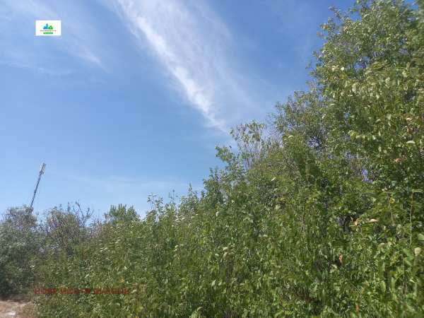 Продава парцел, с. гелеменово, област пазарджик