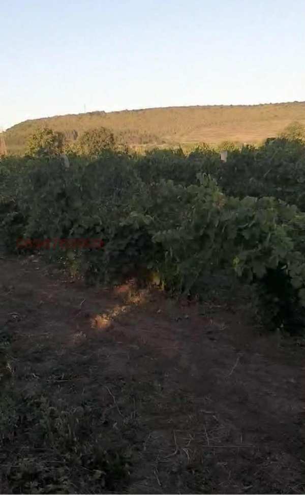 Продава парцел, гр. суворово, област варна