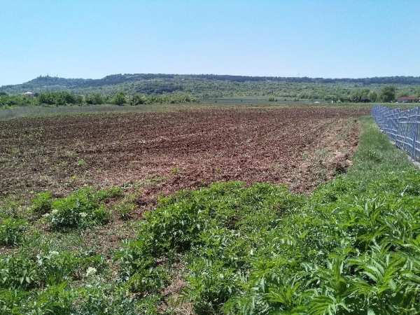 Продава парцел, гр. лясковец, област велико търново