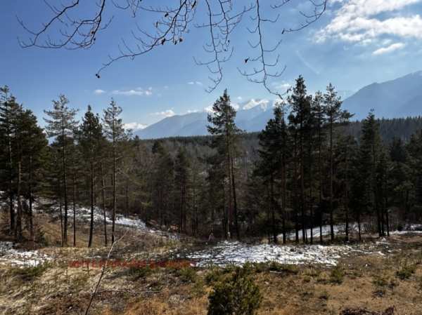 Продава  парцел гр. Разлог, област Благоевград
      3011 кв.м