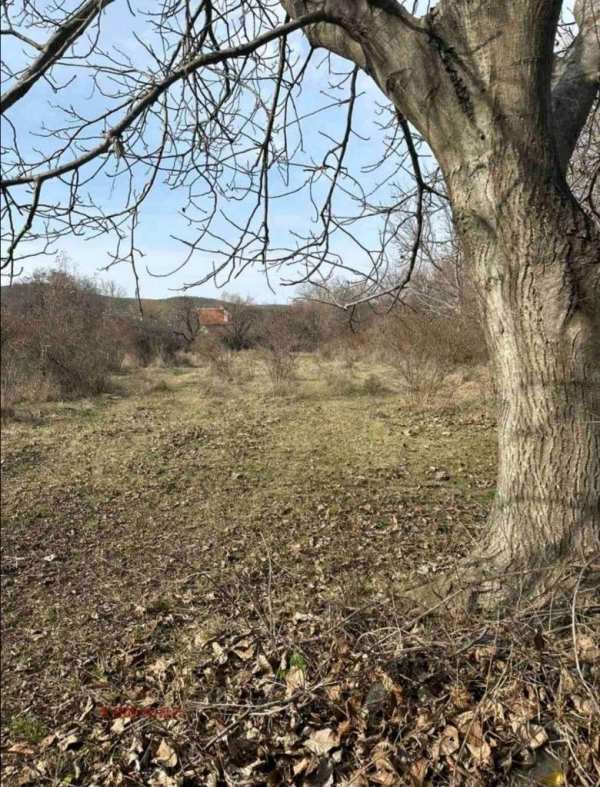 Продава парцел, с. колена, област стара загора