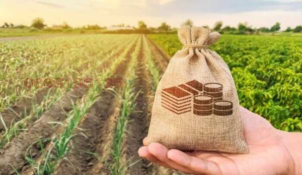 Продава земеделска земя, с. спасово, област добрич