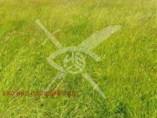 Продава парцел, с. каравелово, област пловдив