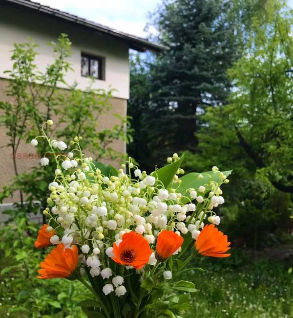 Продава къща, гр. враца, студентски град