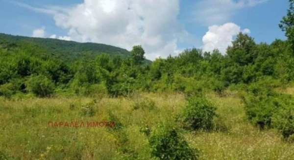 Продава парцел, с. руен, област пловдив