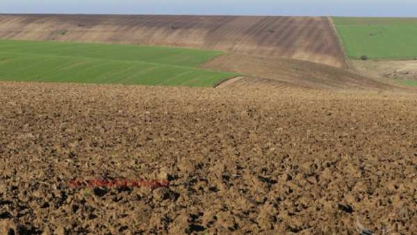 Продава парцел, гр. бургас, с. брястовец