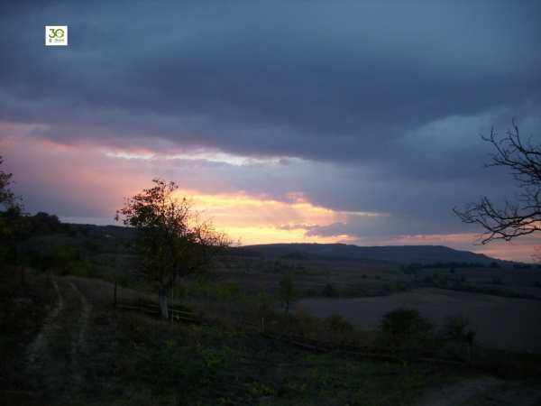 Продава земеделска земя, с. тутраканци, област варна