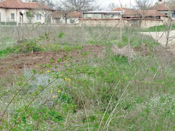 Продава парцел, с. орлово, област хасково