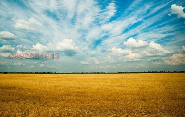 Продава земеделска земя, гр. генерал тошево, област добрич