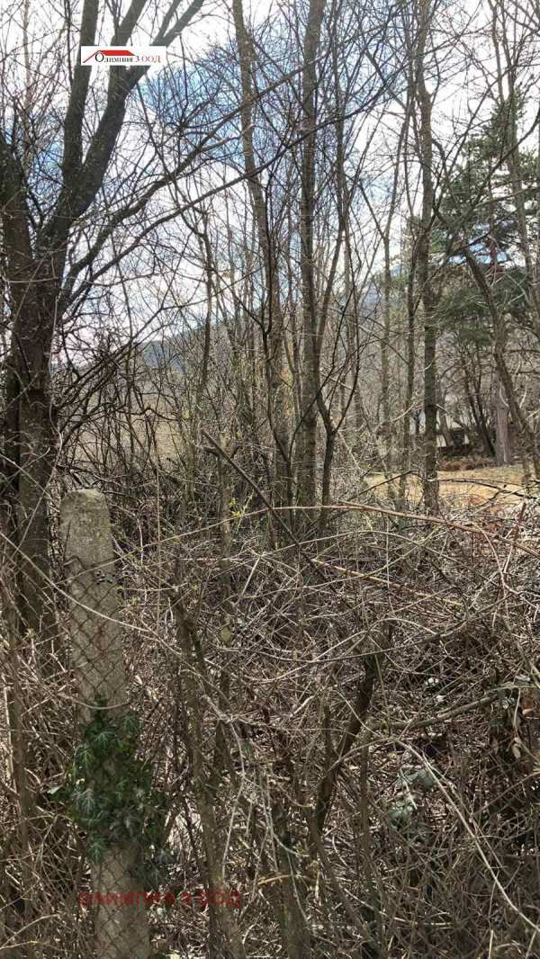 Продава парцел, гр. софия, драгалевци