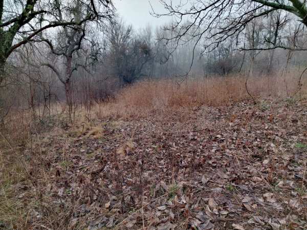 Продава парцел, с. старо село, област перник