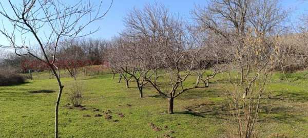 Продава парцел, с. калипетрово, област силистра