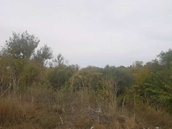 Продава парцел, с. чернево, област варна