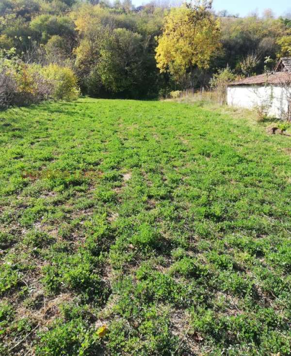 Продава парцел, гр. мизия, област враца