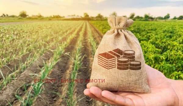 Продава земеделска земя, с. иваново, област русе