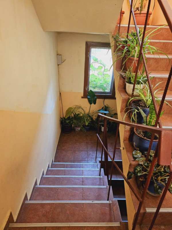 Дава под наем  4-стаен град Плевен, 9-ти квартал
      164 кв.м