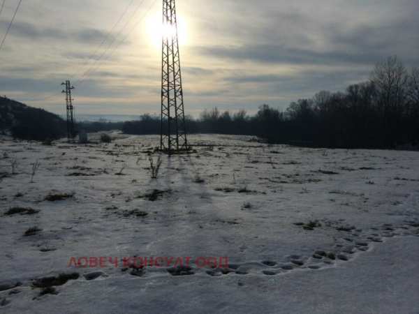 Дава под наем земеделска земя, с. муселиево, област плевен