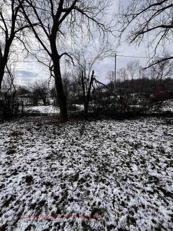 Продава парцел, с. големо бучино, област перник