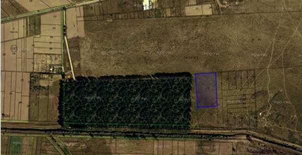 Продава парцел, с. мусачево, област софия област