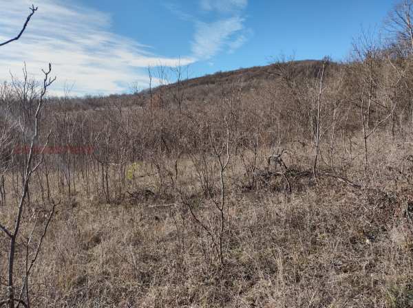 Продава земеделска земя, с. шереметя, област велико търново