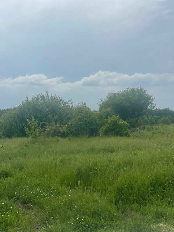 Продава парцел, с. горица, област варна