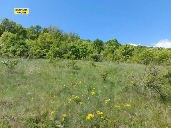 Продава земеделска земя, с. малка верея, област стара загора