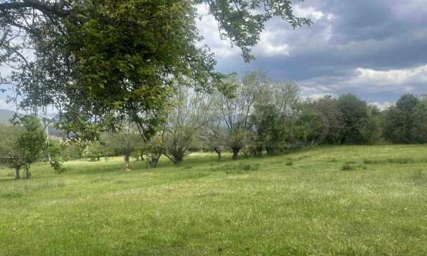 Продава парцел, гр. добринище, област благоевград