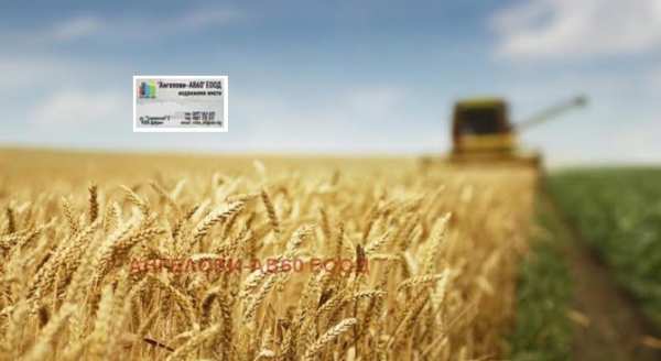 Продава  земеделска земя с. Стожер, област Добрич
      22 дка