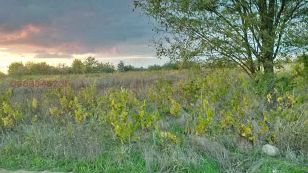 Продава къща, гр. алфатар, област силистра