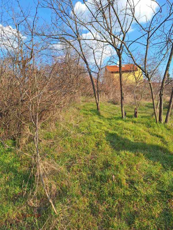Продава парцел, с. горна василица, област софия област