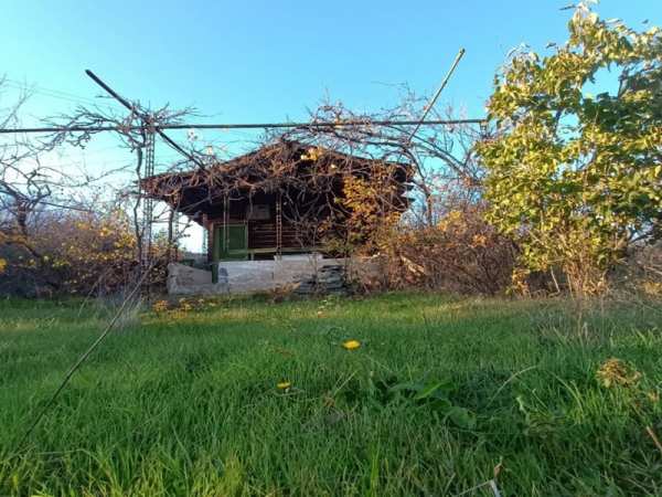 Продава вила, с. песнопой, област пловдив