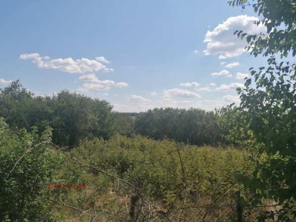 Продава парцел, с. лясково, област добрич