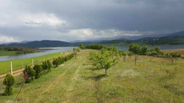 Продава земеделска земя, с. логодаж, област благоевград